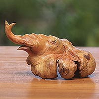 Featured review for Wood figurine, Head of the Elephant