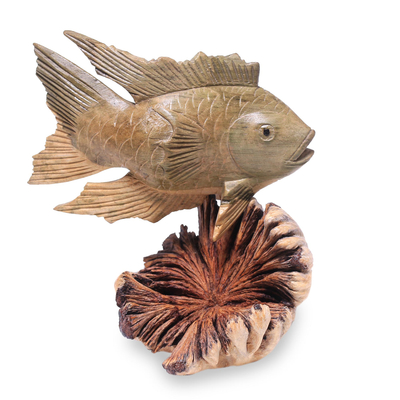 Holzfigur, 'Gourami-Fisch'. - Handgeschnitzte Holzfigur eines Gourami-Fisches aus Bali