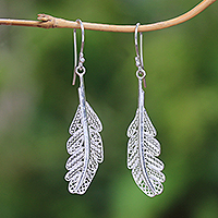 Sterling silver filigree dangle earrings, 'Gleaming Feathers' - Sterling Silver Filigree Feather Dangle Earrings from Java