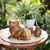 Wood sculpture, 'Relaxing Pup' - Suar Wood Sculpture of a Relaxing Dog from Bali
