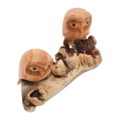 Wood sculpture, 'Owl Romance' - Jempinis Wood Owl Sculpture from Bali
