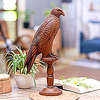 Wood sculpture, 'Calm Falcon' - Hand-Carved Suar Wood Falcon Sculpture from Bali