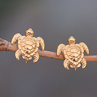 Pendientes de plata de ley chapados en oro, 'Tortugas Serangan' - Pendientes de plata de ley chapados en oro