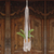Cotton flower pot hanger, 'Tegalalang Plants' - Handwoven Single Cotton Flower Pot Hanger from Bali thumbail