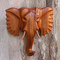 Featured review for Wood wall sculpture, Elephant Prince
