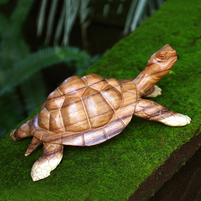Escultura de madera - Escultura de tortuga de madera de suar tallada a mano en Bali
