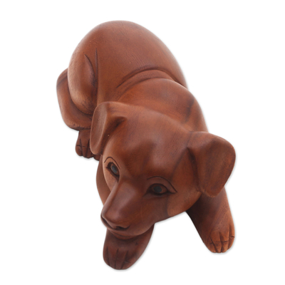 Wood sculpture, 'Good Boy' - Hand-Carved Suar Wood Dog Sculpture from Bali