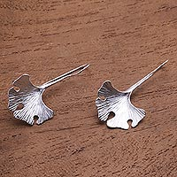 Sterling silver drop earrings, 'Ginko Glimmer'
