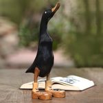Wood and bamboo root sculpture, 'Stomping Duck in Black' - Black Acacia Wood and Bamboo Root Duck Sculpture from Bali