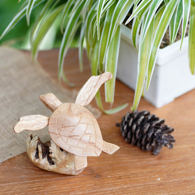 Holzfigur, 'Schwimmende Schildkröte'. - Jempinis und Benalu Wood Meeresschildkröte Figur aus Bali
