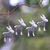 Wood ornaments, 'Winter Goats in Grey' (set of 4) - Wood Goat Ornaments in Grey from Bali (Set of 4) (image 2) thumbail