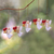 Wood ornaments, 'Loving Angels' (set of 5) - Heart-Themed Wood Angel Ornaments in White (Set of 5) (image 2) thumbail