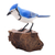 Wood sculpture, 'Perched Blue Jay' - Hand-Painted Wood Blue Jay Sculpture from Bali (image 2c) thumbail