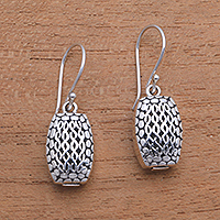 Sterling silver dangle earrings, 'Snake Box' - Wavy Sterling Silver Dangle Earrings from Bali