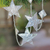 Aluminum ornament garland, 'Shining Stars' (set of 3) - 3 Star-Shaped Aluminum Ornament Garlands from Bali thumbail