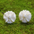 Bone button earrings, 'Fantastic Orchids' - Hand-Carved Bone Orchid Button Earrings from Bali (image 2) thumbail
