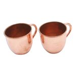 Copper mugs, 'Warm Glow' (pair) - Hammered Copper Mugs Crafted in Java (Pair)