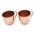 Copper mugs, 'Warm Glow' (pair) - Hammered Copper Mugs Crafted in Java (Pair) (image 2d) thumbail