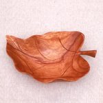Wood catchall, 'Floating Leaf' - Suar Wood Leaf Catchall Crafted in Indonesia