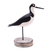 Wood decorative accent, 'Black-Necked Stilt' - Beach Cottage Wood Bird Decorative Accent from Bali