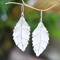 Sterling silver dangle earrings, 'Shimmering Leaf' - Polished Sterling Silver Leaf Dangle Earrings