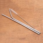 Stainless steel straws, 'Hydrate' (pair) - Stainless Steel Drinking Straws with Storage Pouch