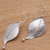 Sterling silver drop earrings, 'Curved Leaves' - Modern Leaf-Shaped Sterling Silver Drop Earrings from Bali (image 2c) thumbail