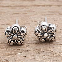 Sterling silver stud earrings, 'Small Curls' - Spiral Pattern Floral Sterling Silver Stud Earrings
