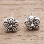 Sterling silver stud earrings, 'Small Curls' - Spiral Pattern Floral Sterling Silver Stud Earrings