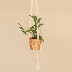 Cotton macrame flower pot hanger, 'Pure Home' - Hand-Knotted White Cotton Macrame Hanger from Bali