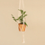 Cotton macrame flower pot hanger, 'Pure Home' - Hand-Knotted White Cotton Macrame Hanger from Bali (image 2b) thumbail