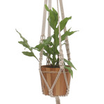 Cotton macrame flower pot hanger, 'Pure Home' - Hand-Knotted White Cotton Macrame Hanger from Bali