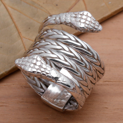 Bandring aus Sterlingsilber, „Hydra“ – Unisex-Ring mit zweiköpfiger Schlange aus Sterlingsilber