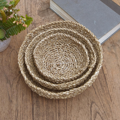 Natural fiber baskets, 'Three Fold in Natural' (set of 3) - Artisan Crafted Natural Fiber and Nylon Baskets (Set of 3)