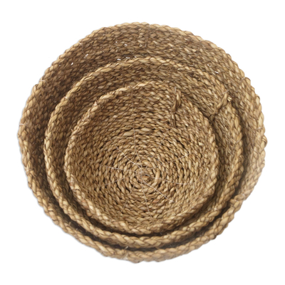 Artisan Crafted Natural Fiber and Nylon Baskets (Set of 3)