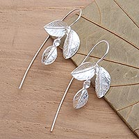 Sterling silver drop earrings, 'Triple Leaf' - Triple Leaf Sterling Silver Drop Earrings