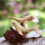 Wood sculpture, 'Dolphin Harmony' - Artisan Crafted Coral Reef and Dolphin Sculpture (image 2) thumbail