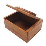 Decorative wood box, 'Lion Prince' - Hand Carved Wood Box with Lion Head Relief