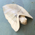 Hibiscus wood sculpture, 'Shy Frog' - Hibiscus Wood Sculpture of Frog Under Leaf (image 2c) thumbail