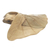 Hibiscus wood sculpture, 'Shy Frog' - Hibiscus Wood Sculpture of Frog Under Leaf (image 2e) thumbail