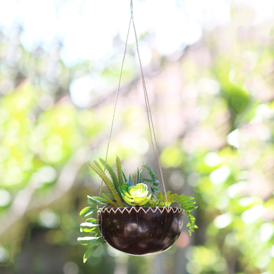 Coconut shell hanging planter, 'Clean Environment' - Hanging Coconut Shell Plant Pot