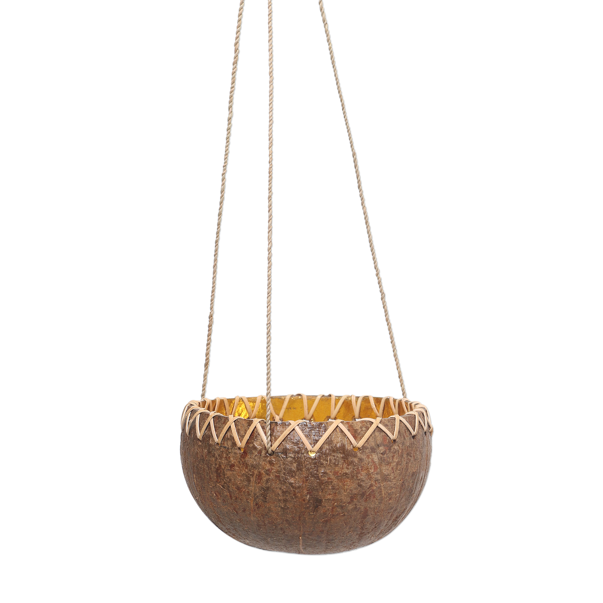 Hanging Coconut Shell Plant Pot - In the Rough | NOVICA
