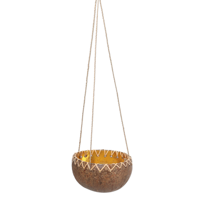 Hanging Coconut Shell Plant Pot - In the Rough | NOVICA