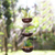 Coconut shell hanging planter, 'Vertical Garden' - Tiered Hanging Coconut Shell Plant Pot thumbail