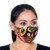 Rayon face masks, 'Colors of Nature' (set of 3) - 3 Colorful Nature Print 2-Layer Rayon Ear Loop Face Masks (image 2c) thumbail
