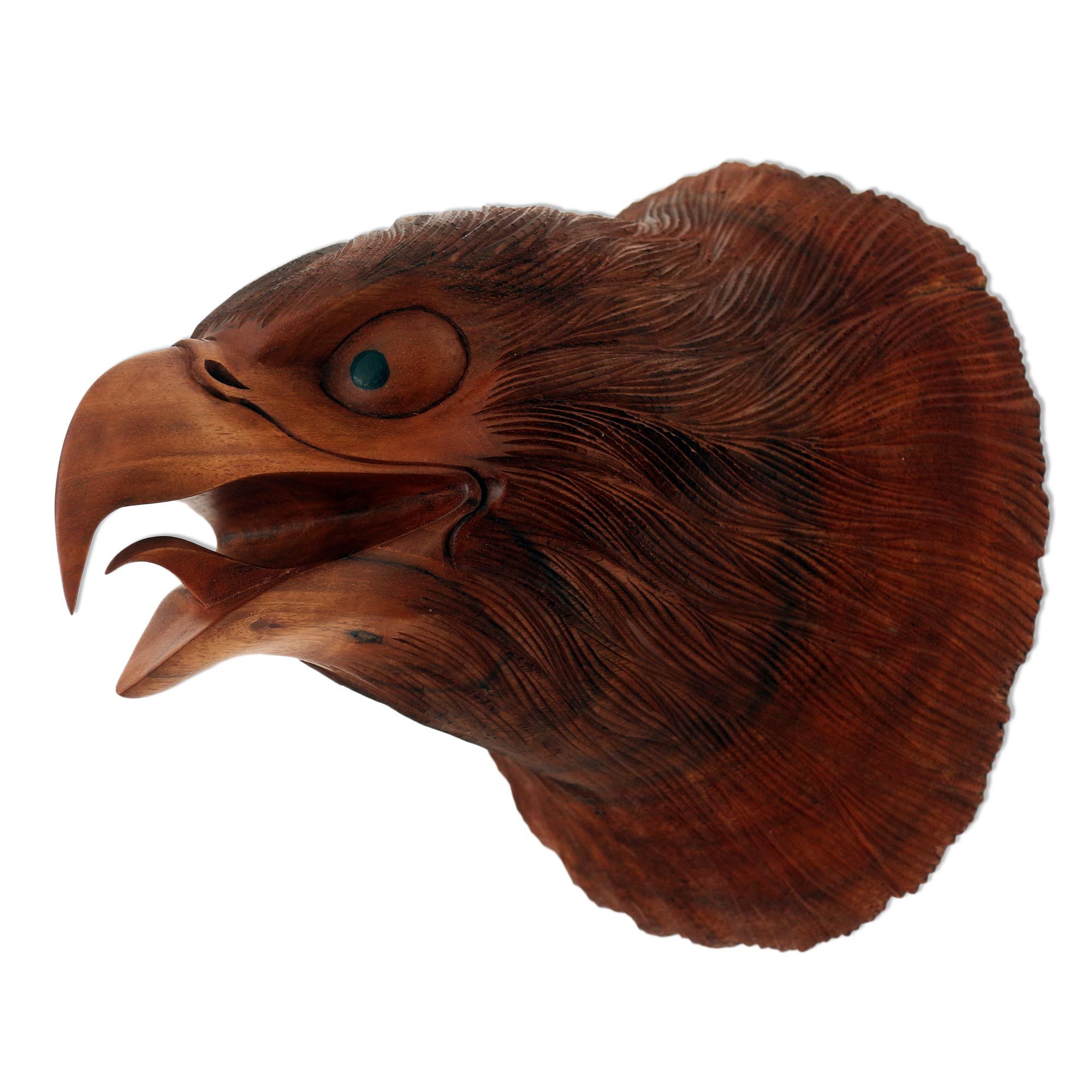 Hand Carved Suar Wood Eagle Head Wall Decor Eagle Eyes NOVICA
