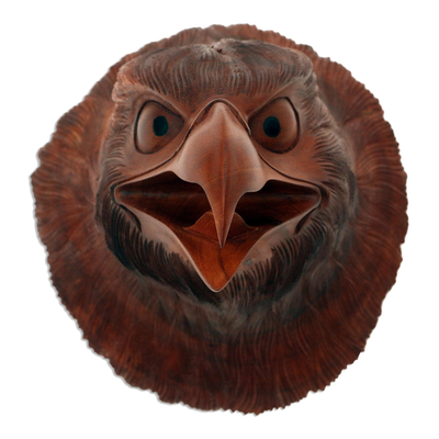 Wood wall sculpture, 'Eagle Eyes' - Hand Carved Suar Wood Eagle Head Wall Decor