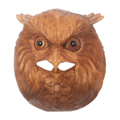Wood wall sculpture, 'Owl Eyes' - Hand Carved Native Suar Wood Owl Head Wall Decor