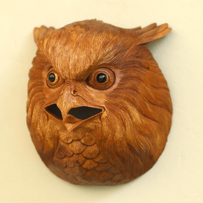 Wood wall sculpture, 'Owl Eyes' - Hand Carved Native Suar Wood Owl Head Wall Decor