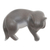 Estatuilla de madera, 'Gato descansando en gris' - Estatuilla de gato de madera de suar tallada a mano